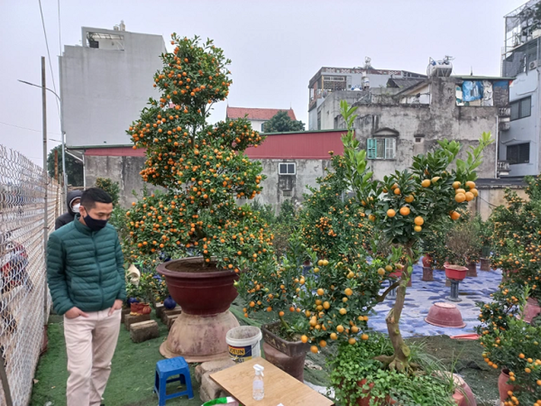 Ha Noi: Chu nhan cap quat luc binh “khung” tiet lo ly do khong ban hang doc-Hinh-6