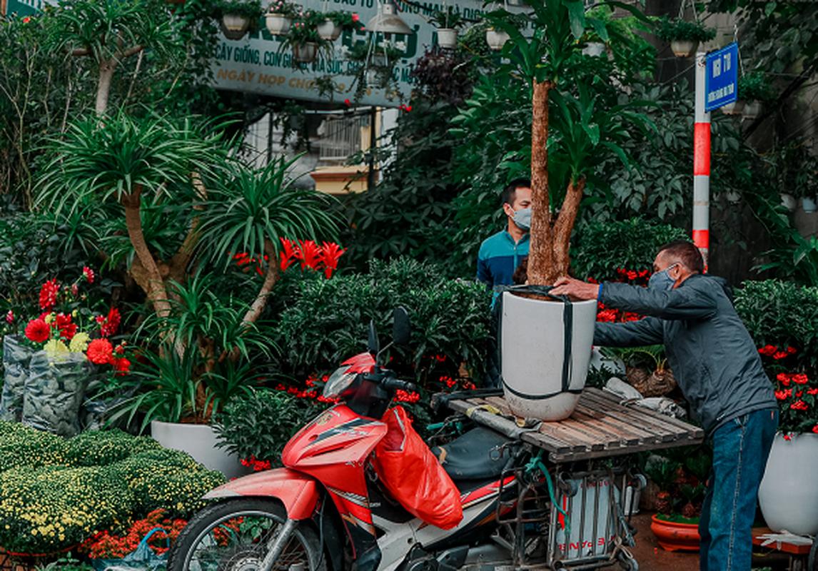 Khong khi Tet tran ngap tai cac cho hoa o Ha Noi-Hinh-11