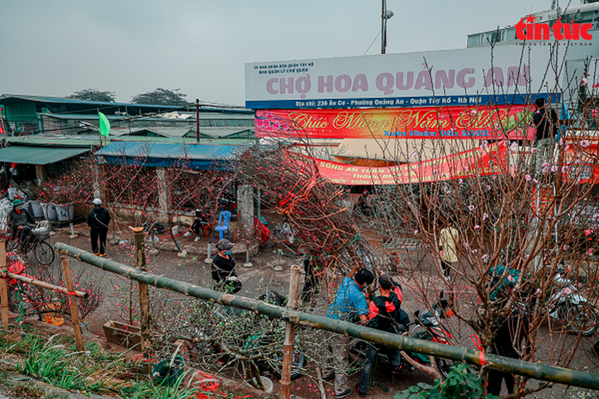 Khong khi Tet tran ngap tai cac cho hoa o Ha Noi-Hinh-13