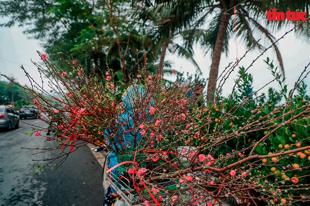 Khong khi Tet tran ngap tai cac cho hoa o Ha Noi