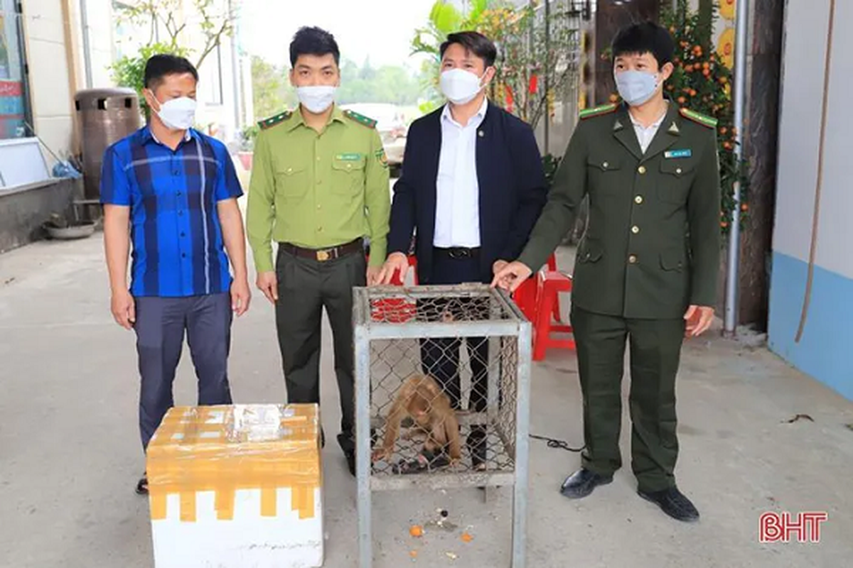 Nguoi dan Ha Tinh tu nguyen giao nop dong vat rung: Toan loai nguy cap!