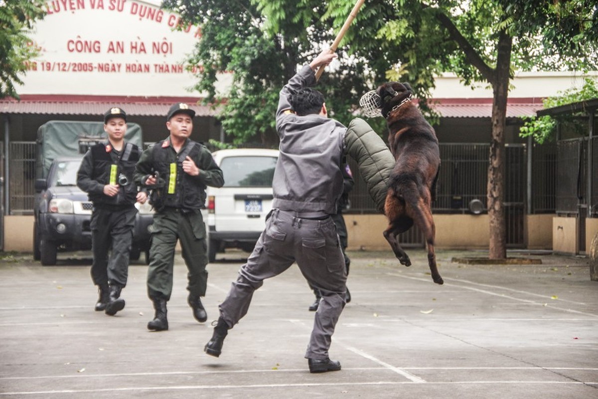 Xem Canh sat co dong CATP Ha Noi huan luyen chu cho nghiep vu-Hinh-20