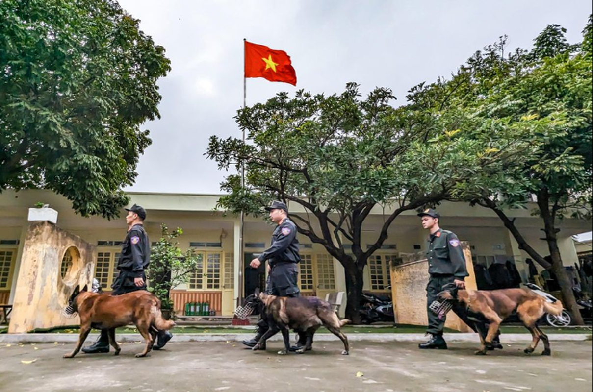 Xem Canh sat co dong CATP Ha Noi huan luyen chu cho nghiep vu