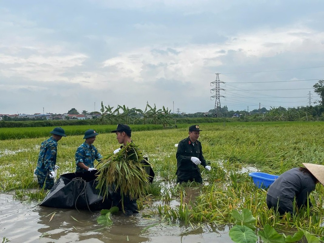 Canh sat co dong va bo doi giup dan gat lua chay lu-Hinh-2