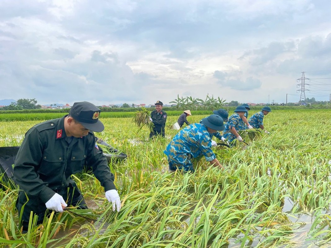 Canh sat co dong va bo doi giup dan gat lua chay lu-Hinh-7