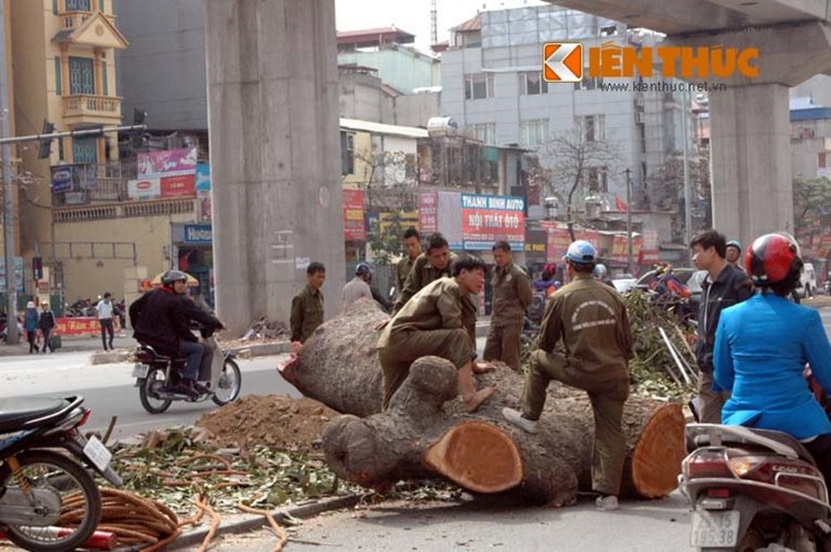 Xot xa canh don ha hang loat xa cu tren duong Nguyen Trai-Hinh-11