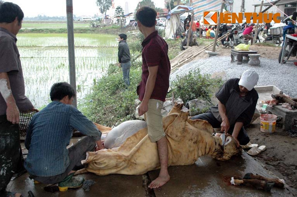 Xem canh mo be ngay giua cho dong nguoi-Hinh-2