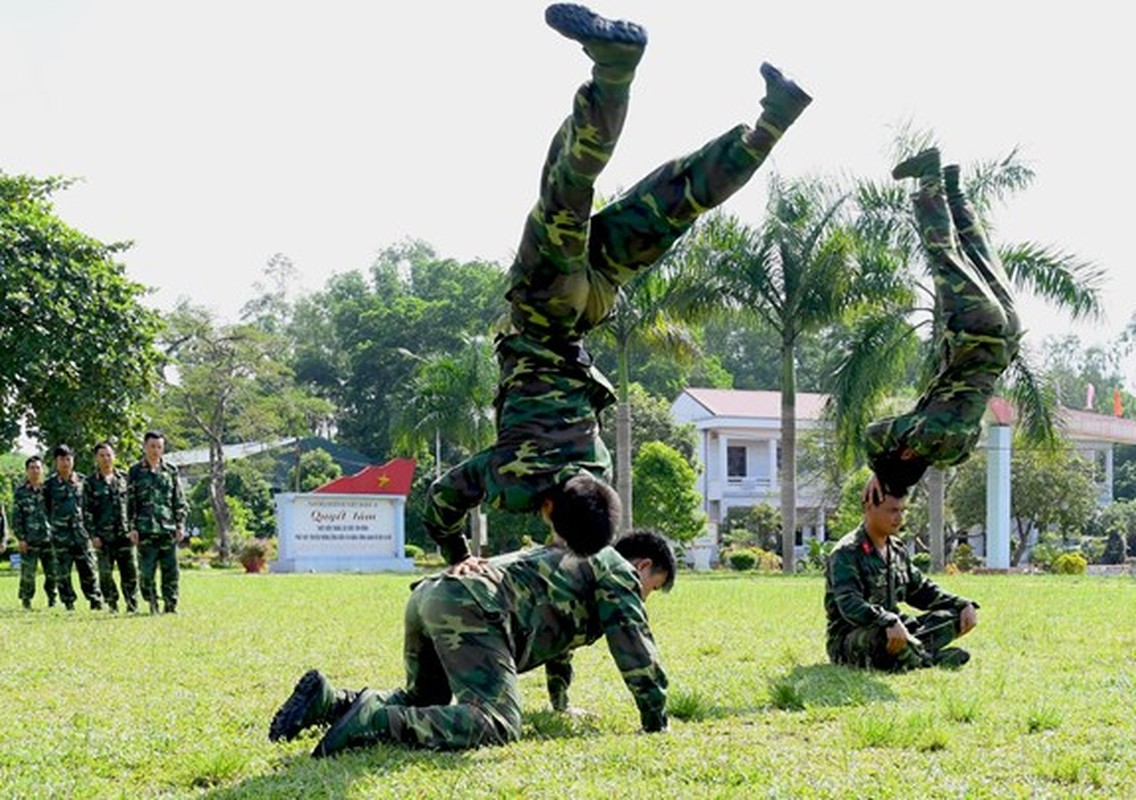 Muc kich trinh sat dac nhiem Viet Nam du day danh khung bo-Hinh-2