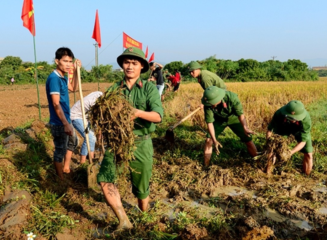 Quan doan 2: “Than toc, Tao bao, Quyet thang” trong thoi binh-Hinh-8