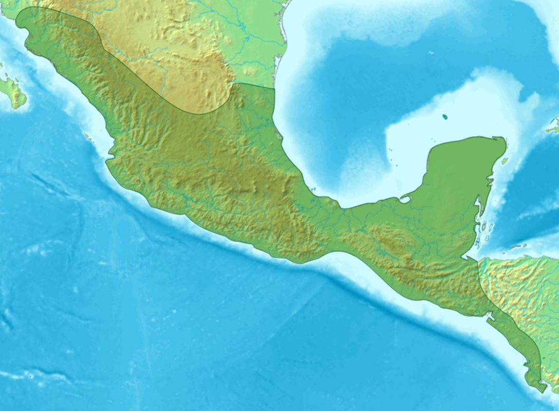 Mat than LiDAR quet radar, bat ngo lo ra thu do “vuong quoc Ran”-Hinh-2