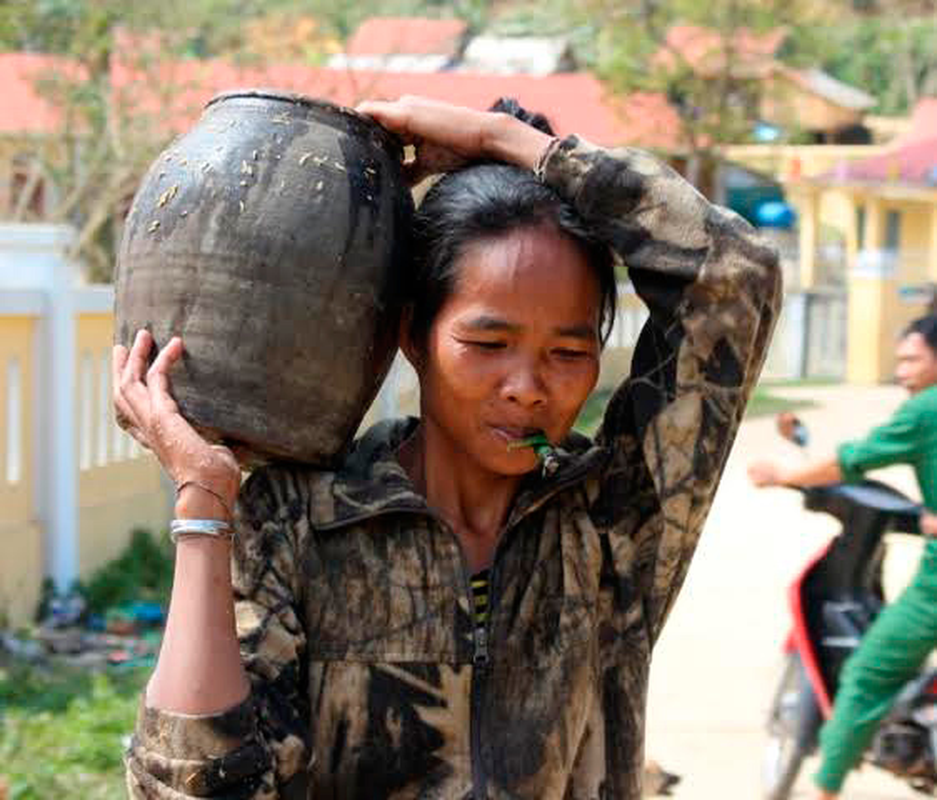 Ky la loai cay uong nuoc truc tiep tu than cay, de gay nghien-Hinh-10