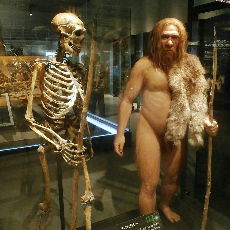 Nguoi Neanderthal tuyet chung vi quan he tinh cam voi... loai nguoi?-Hinh-11