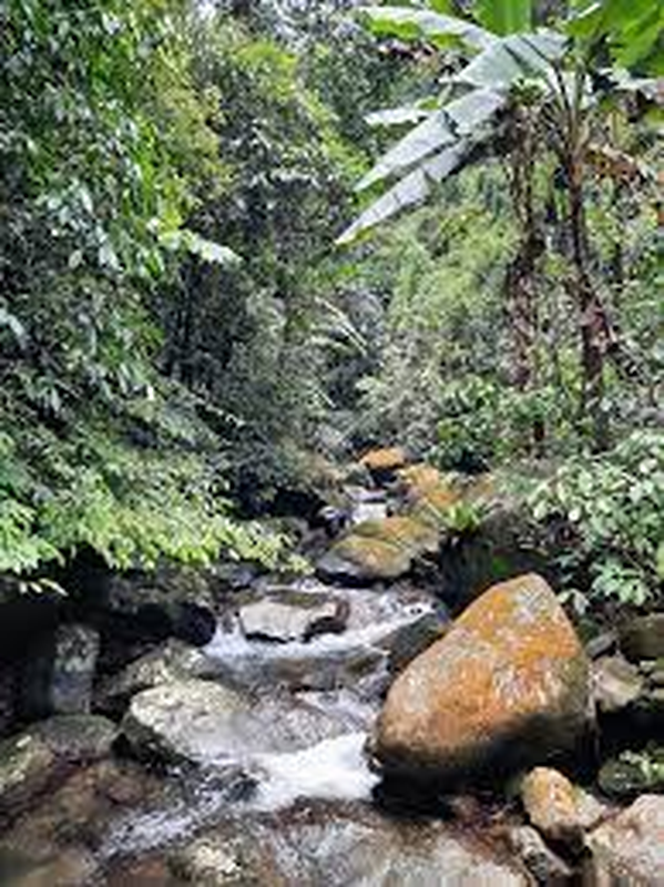 La lung “dong suoi nhut nhat“, nghe tieng goi la rut can tro day-Hinh-12