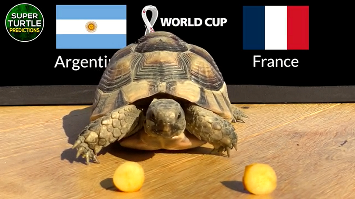 World Cup 2022: Than rua, oc sen du doan ket qua tran Argentina vs Phap-Hinh-5