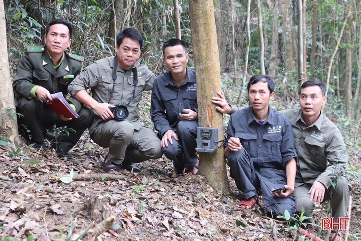 Dat “bay anh”, bat ngo phat hien dong vat sieu hiem tai VQG Vu Quang-Hinh-10