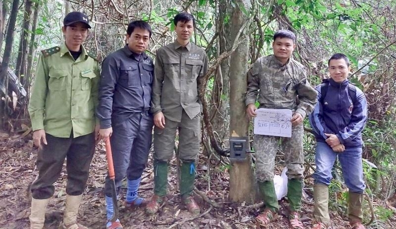 Dat “bay anh”, bat ngo phat hien dong vat sieu hiem tai VQG Vu Quang-Hinh-11