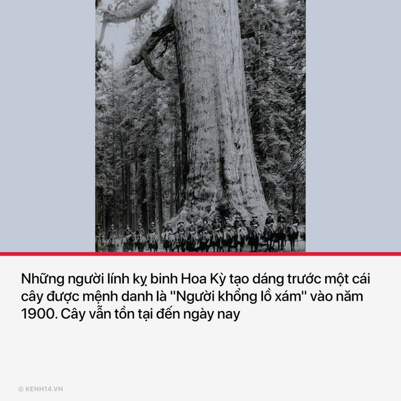 17 buc anh mang tinh buoc ngoat trong lich su nhan loai-Hinh-8