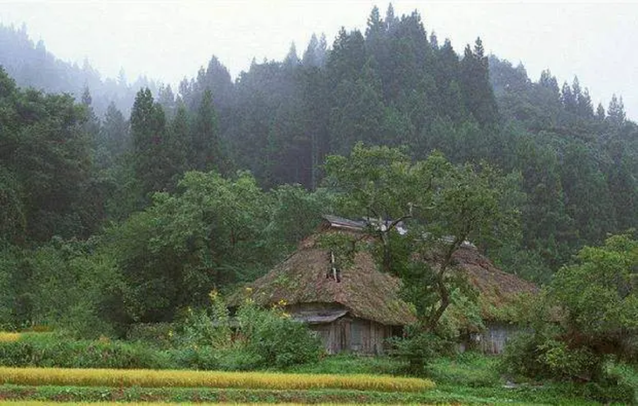 Dang dao mang, lao nong vo tinh “va phai” bau vat tien ty