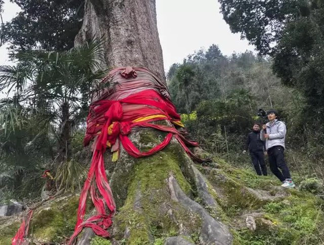 Nguon nuoc cua lang bong can kiet, chuyen gia phan: 