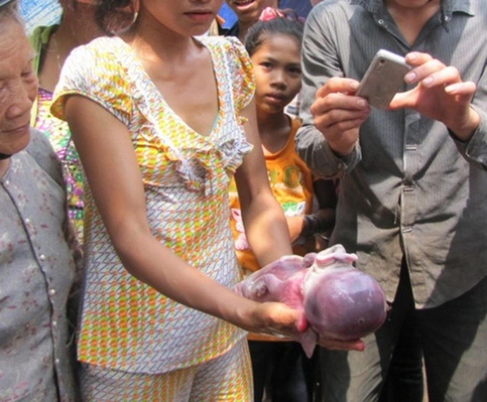 Nghe con 2 mui, 2 mieng va loat dong vat so sinh di nhat VN-Hinh-5