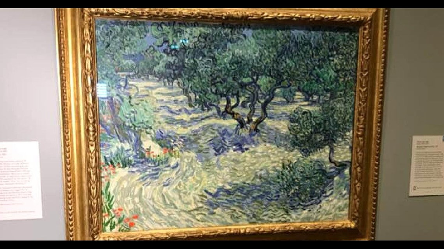 Phong to tuyet pham cua Van Gogh, bi mat tram nam dan he lo-Hinh-7