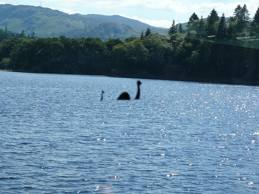 Nong: Tho san quai vat ho Loch Ness tom duoc sinh vat huyen thoai?-Hinh-4