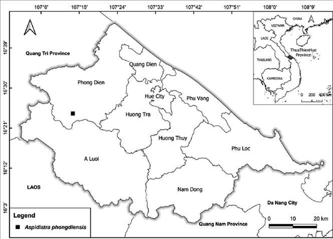 Loai cay moi phat hien o Viet Nam: The gioi chua noi nao co!-Hinh-2