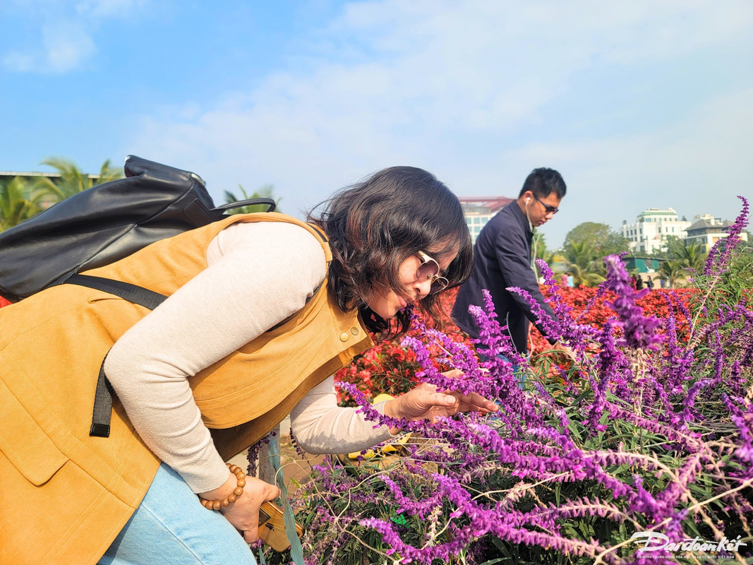 Thung lung hoa Ho Tay hut du khach 'check in' trong ngay Tet Duong lich-Hinh-12