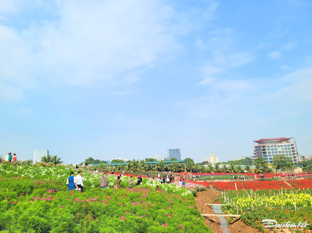 Thung lung hoa Ho Tay hut du khach 'check in' trong ngay Tet Duong lich