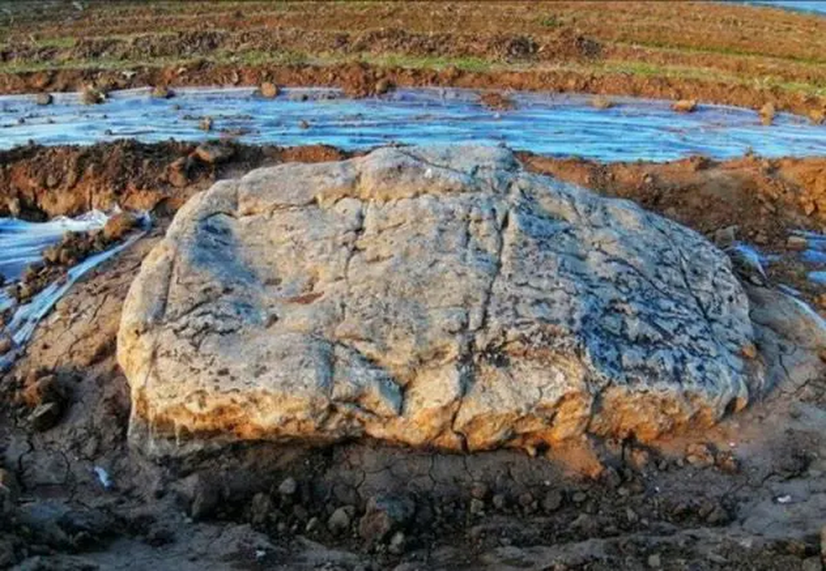 Ky la ngon nui nho nhat Trung Quoc, khong ai dam leo treo-Hinh-4