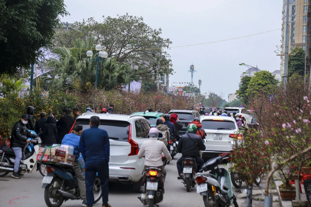 Cho hoa Ha Noi nhon nhip ngay cuoi nam