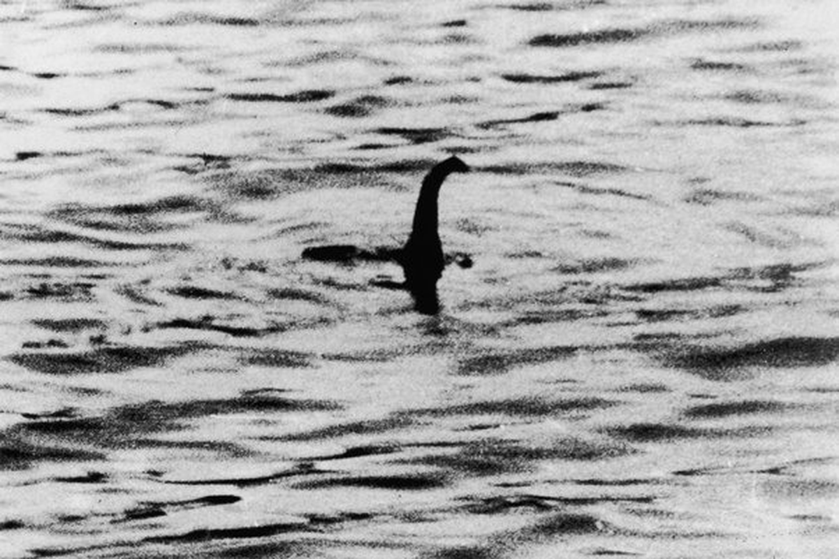 Chan dung sinh vat la giong het rong va quai vat ho Loch Ness-Hinh-5