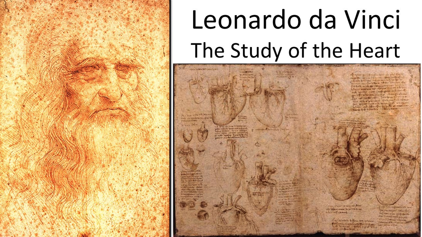 Giai ma bi an ban phac thao trai tim nguoi cua Leonardo da Vinci-Hinh-6