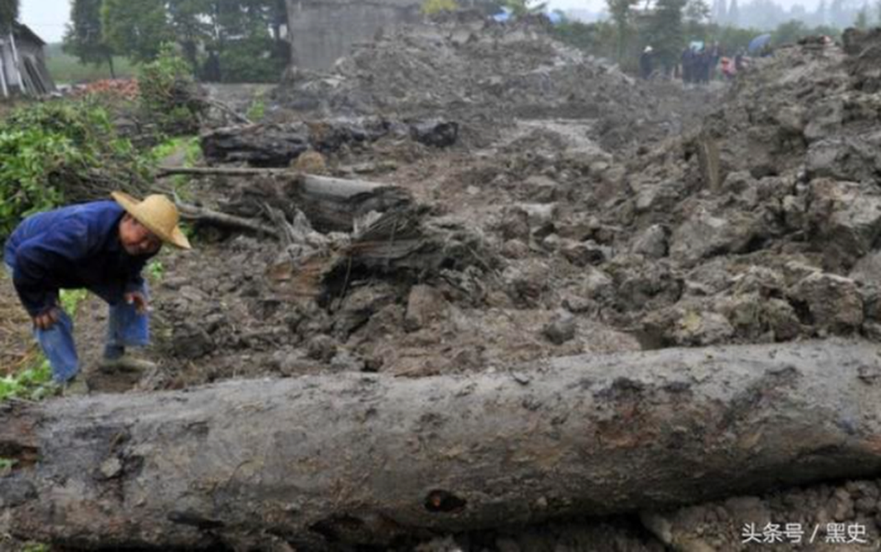 Dao duoc cay go den khong lo, ai ngo la 