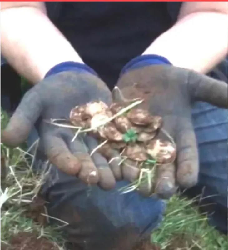 Dung trung kho vang nho may do kim loai, thanh nien chop mat doi doi-Hinh-7