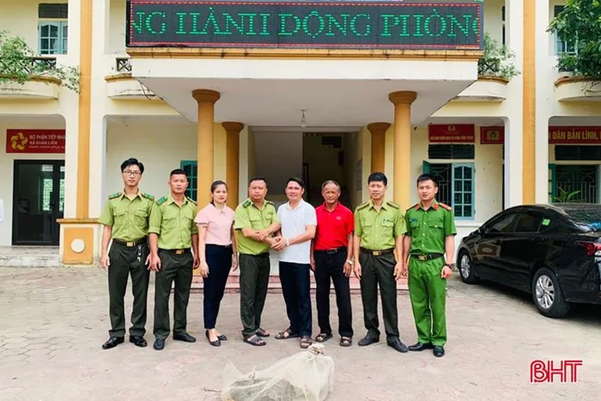 Tran dat nang 12kg duoc ban giao ve VQG Vu Quang: Loai cuc hiem-Hinh-2