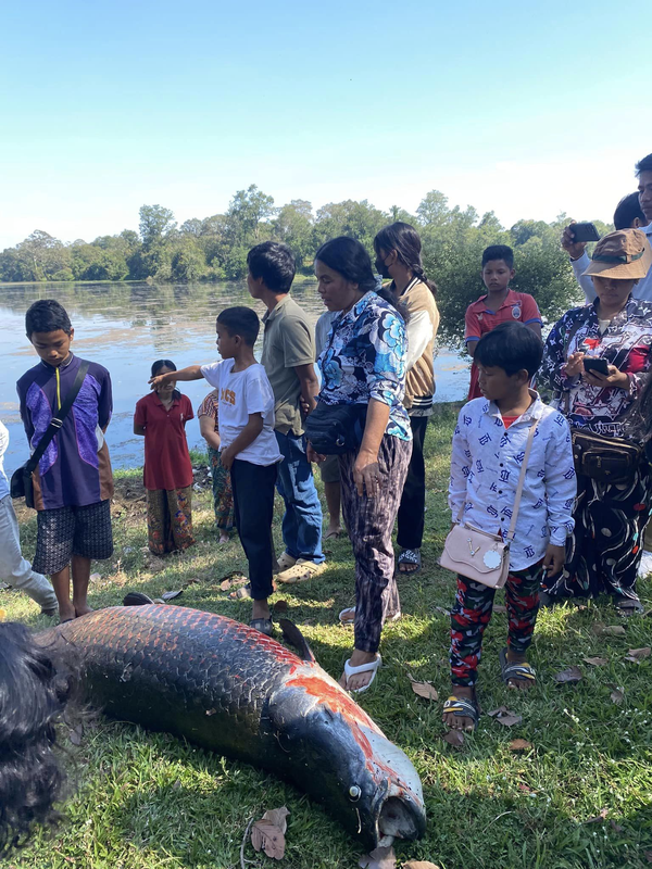 Xac 'quai vat song Amazon' bat ngo noi trong ao den-Hinh-2