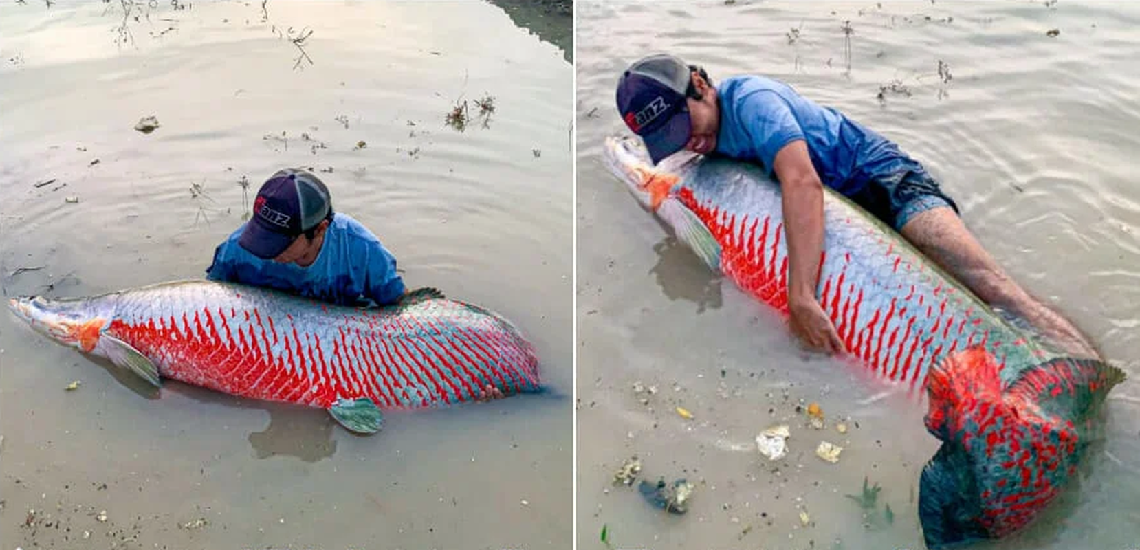 Fishing accidentally catches freshwater 'monster' without fear