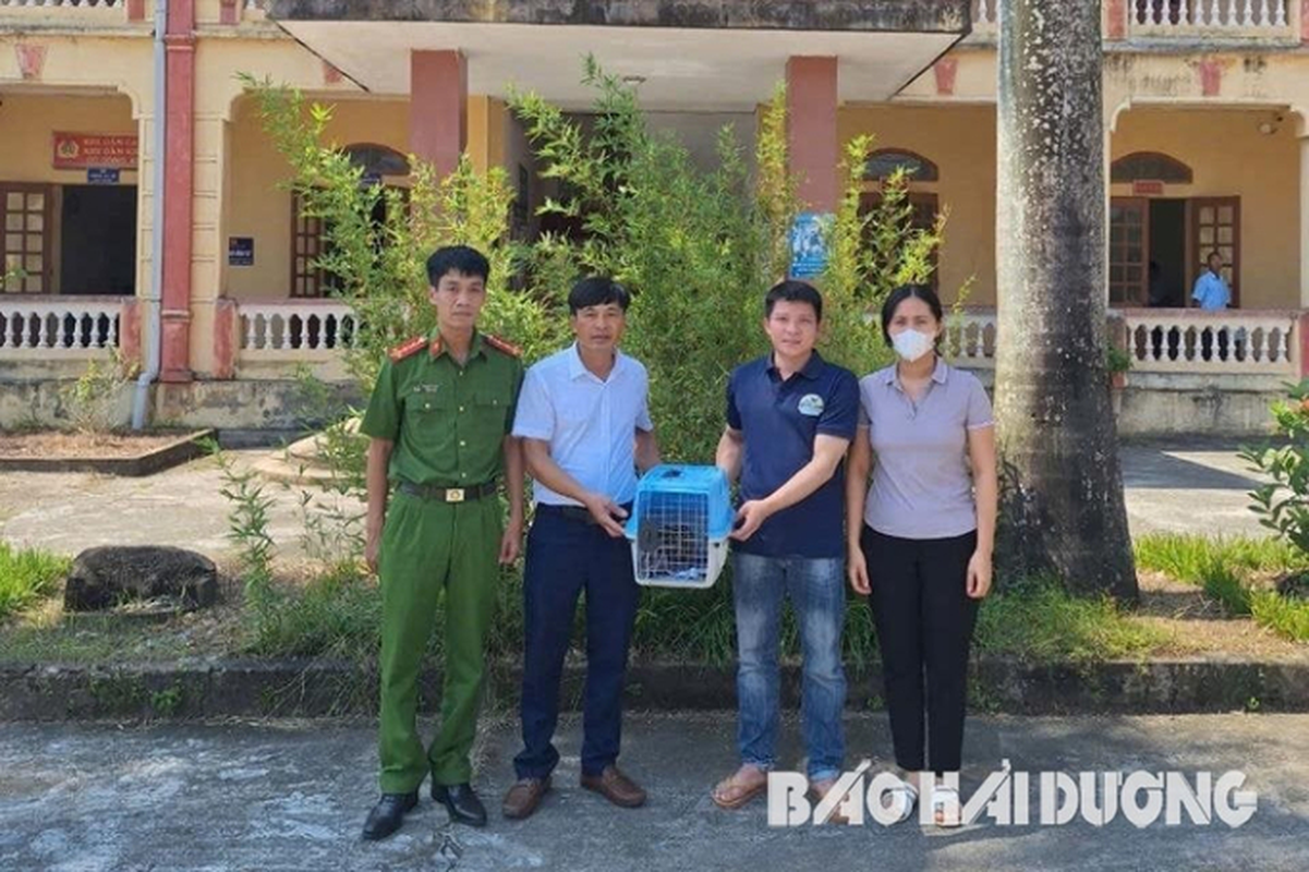 The type of material in the Vietnam Do Book is located in the house in Hai Duong