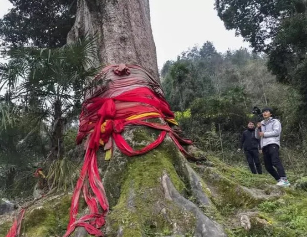 Khai thac da dung trung co mo, chuyen gia ho lon 