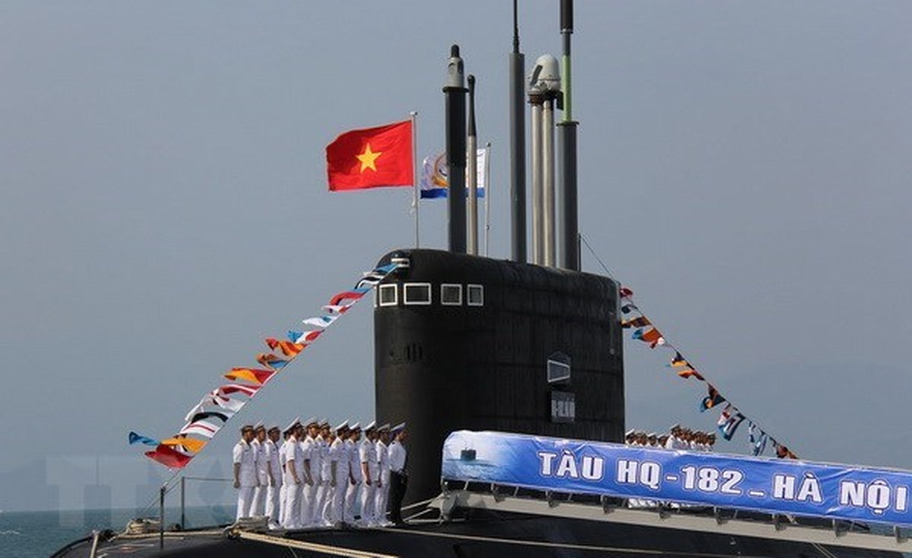 Tau ngam Kilo cua Viet Nam khi lan se nhu the nao?-Hinh-14