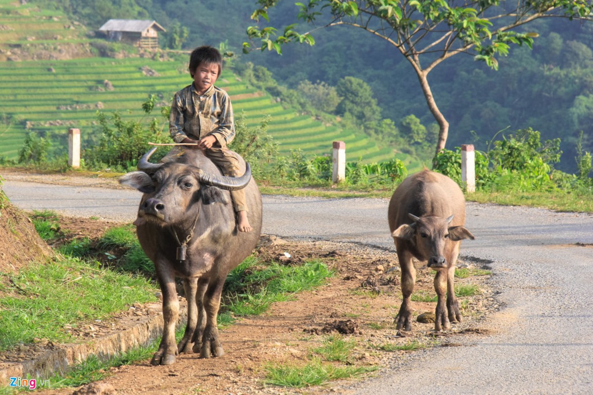 Loat &quot;khoanh khac vang&quot; va tinh trang bao dong ve tre em Viet Nam-Hinh-5