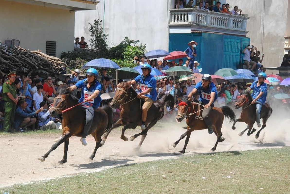 Hang nghin nguoi doi nang nong xem dua ngua o Bac Ha-Hinh-2