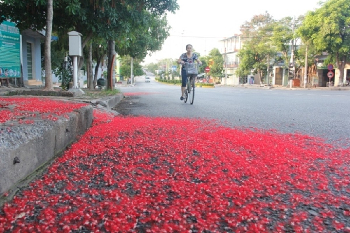 Mot goc ruc ro o “thanh pho hoa loc vung”-Hinh-2