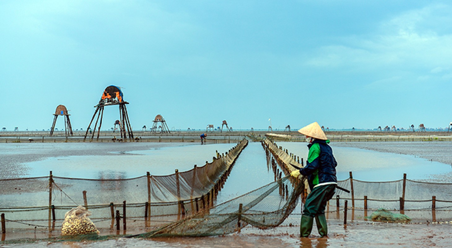 Ve Dong Chau xem cao ngao, ngam hoang hon ben bo bien hoang so-Hinh-6