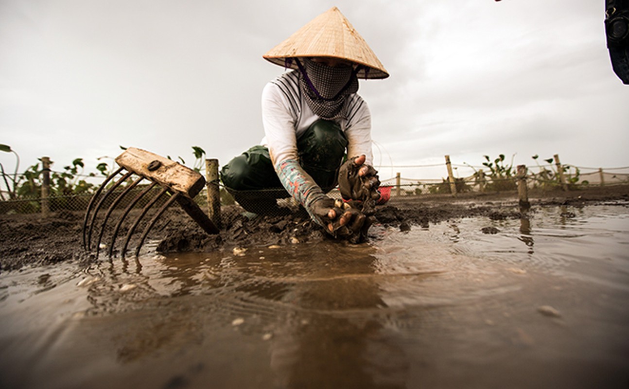 Ve Dong Chau xem cao ngao, ngam hoang hon ben bo bien hoang so-Hinh-7