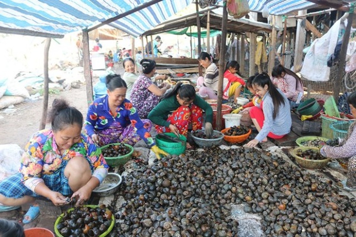 Vao mua, nguoi gia tre nho thi nhau le oc thue kiem tien tram/ngay-Hinh-2