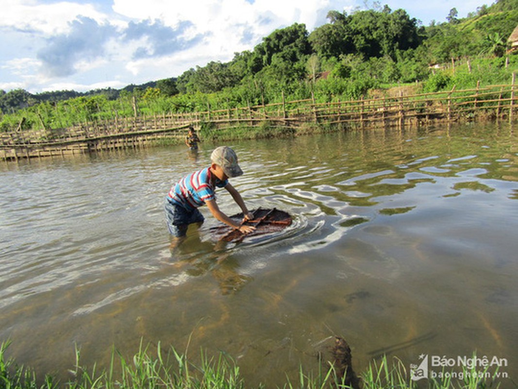 Chieu doc san ca suoi cua tre em vung cao Nghe An-Hinh-3