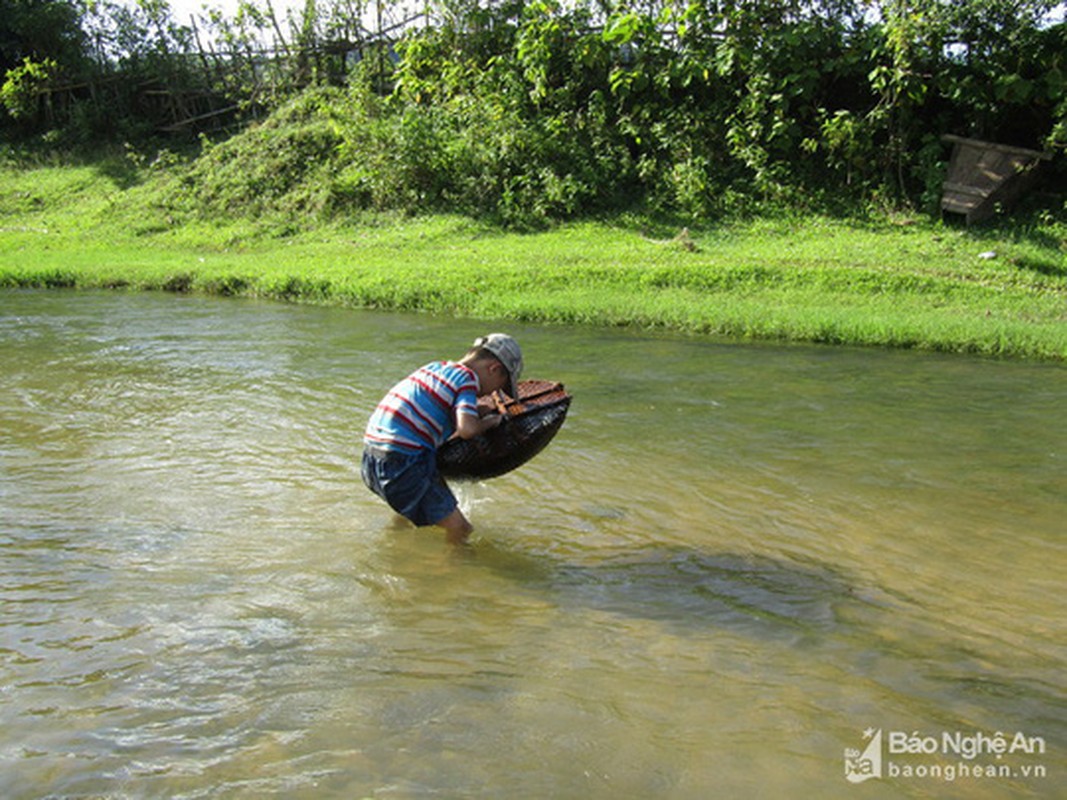 Chieu doc san ca suoi cua tre em vung cao Nghe An-Hinh-5