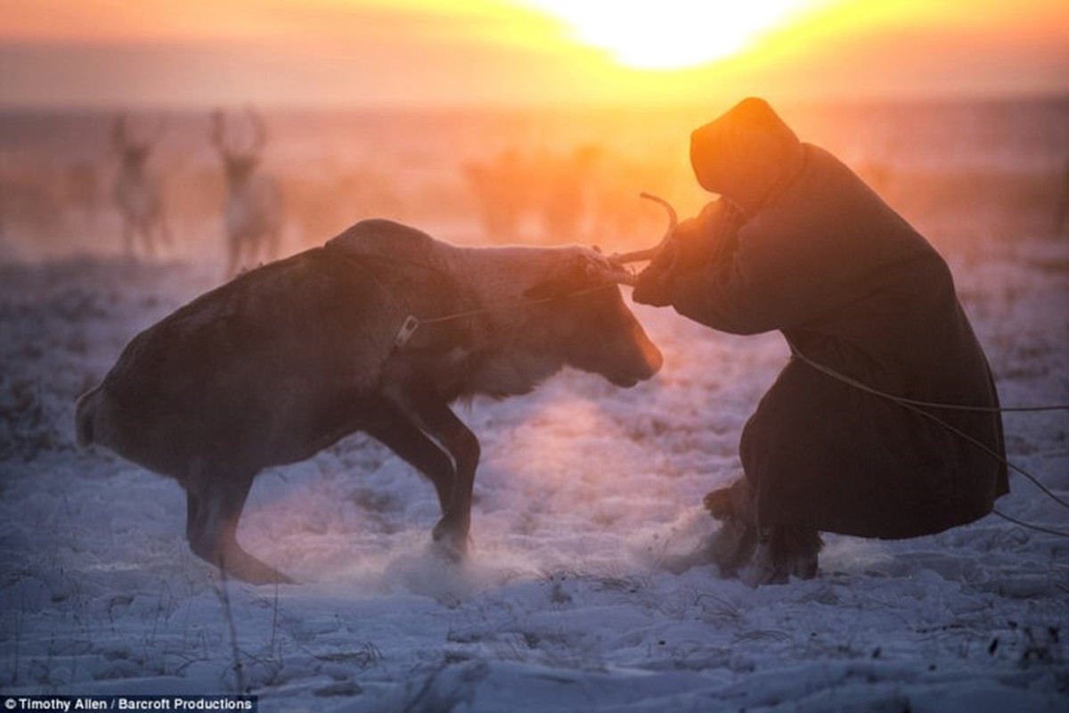 Cuoc song trong cai lanh thau xuong cua nguoi Nenets o Siberia-Hinh-8